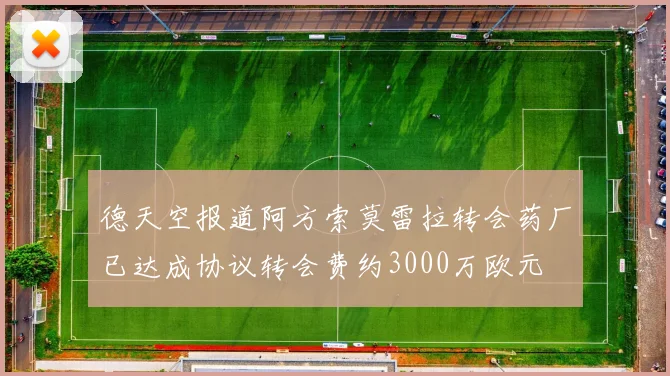 德天空报道阿方索莫雷拉转会药厂已达成协议转会费约3000万欧元