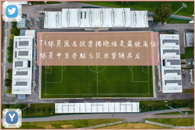 TA球员匿名投票揭晓谁是最被高估球员申京夺魁戈贝尔紧随其后