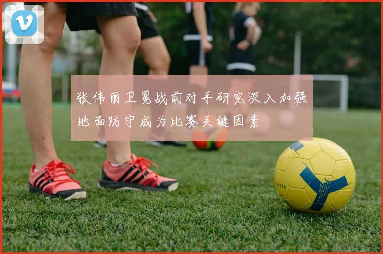 张伟丽卫冕战前对手研究深入加强地面防守成为比赛关键因素