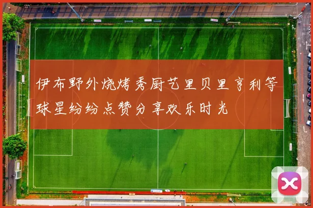 伊布野外烧烤秀厨艺里贝里亨利等球星纷纷点赞分享欢乐时光